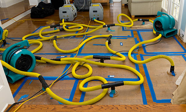 Professional Water Extraction technician working in Mountain City, GA